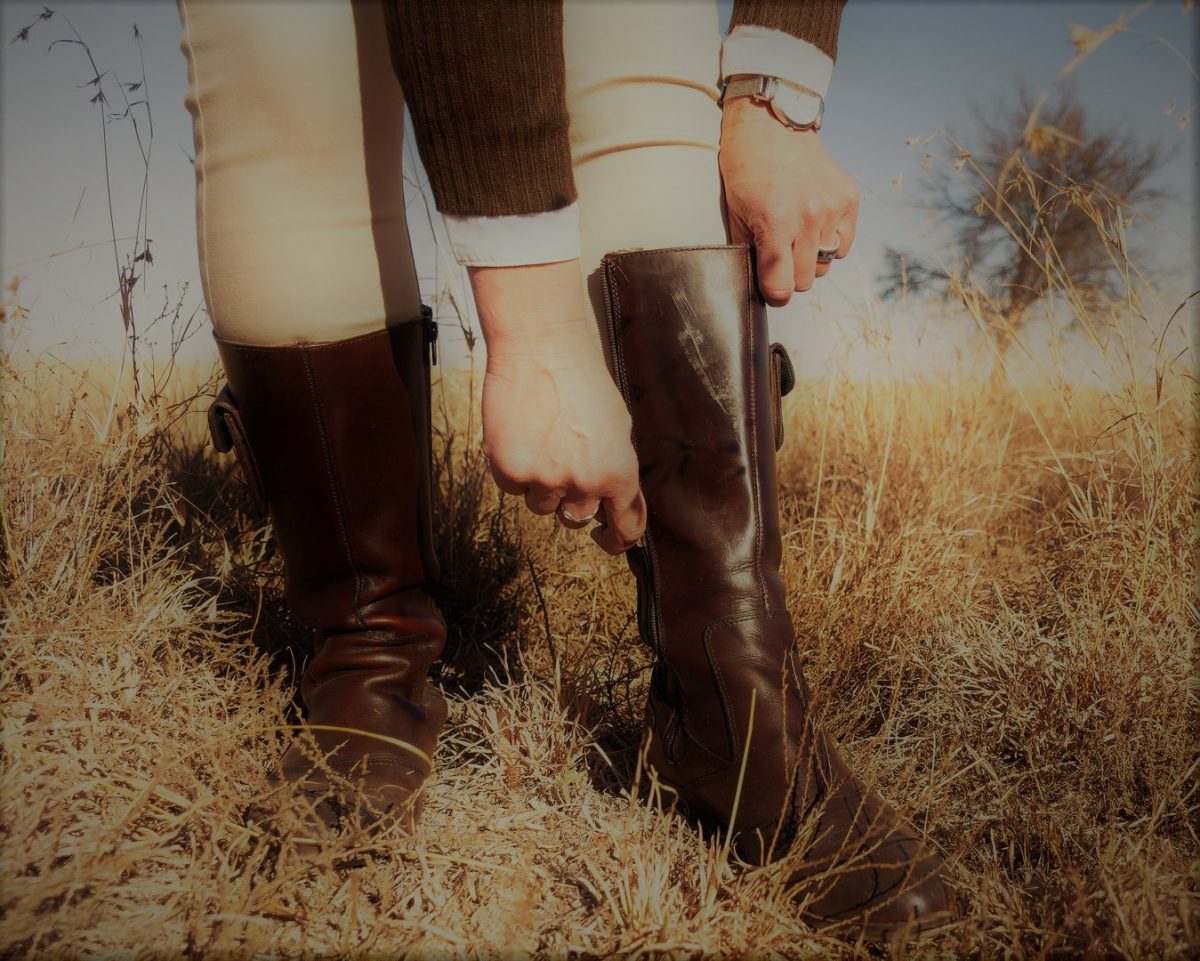 A Pair of Shoes